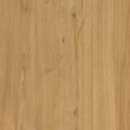 Виниловый пол Виниловые полы Parador Vinyl Basic Plus 30 Дуб Натуральный (светло-коричневый) в Минске