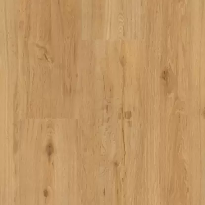 Виниловый пол Виниловые полы Parador Vinyl Basic Plus 30 Дуб Натуральный (фаска с 4-х сторон) в Минске