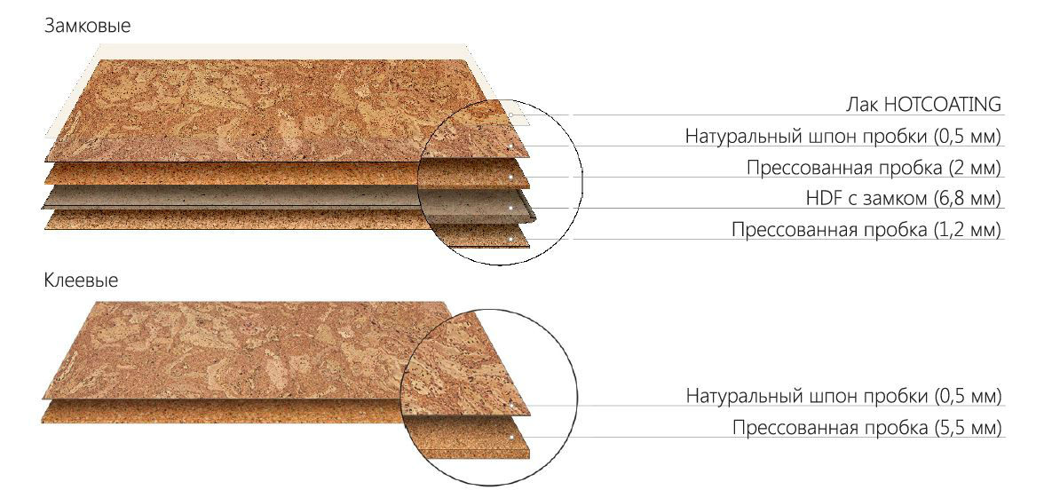 структура пробковых полов corkstyle eco cork